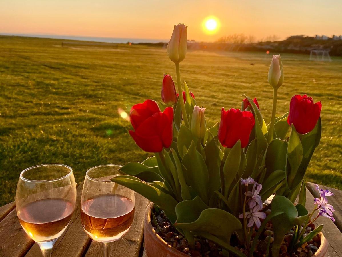 Seaview Self-Catering Coastal Bungalow In Rural West Wight Freshwater Ngoại thất bức ảnh